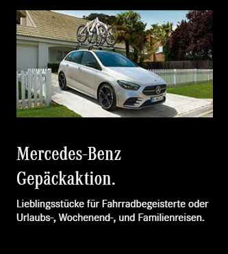 Mercedes-Service in  Medlingen